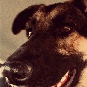 Meet your Posher, Riley